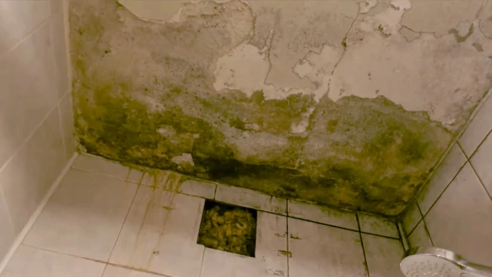 Usuwanie pleśni z wilgotnych ścian.