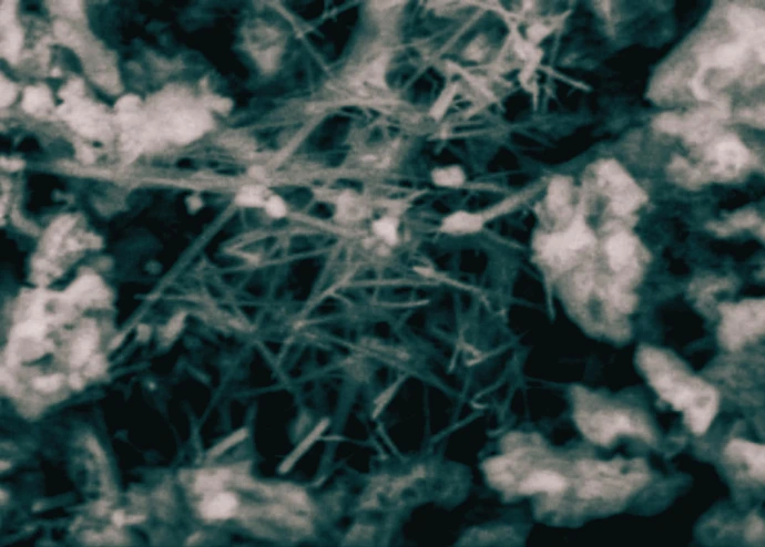 Krystalizacja wody w murze.