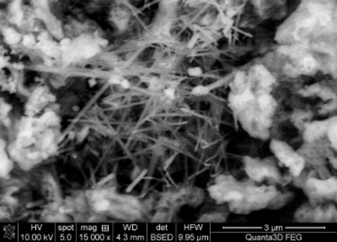 Struktura muru pod mikroskopem po zastosowaniu zapraw NCT.